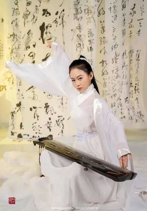 琴心剑胆，琴心什么的成语