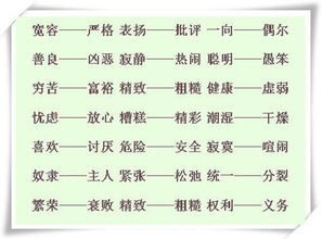 继续的近义词