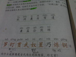 坏可以词什么词