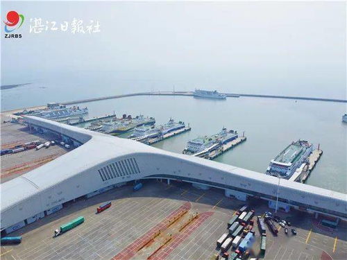 相向而行的意思是什么?