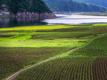 绿江村农家院电话，绿江村旅游景点大全