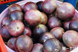 星苹果乐园当时热度高吗