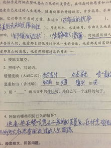 写一个排比句突出老师的伟大品质，写一个排比句四年级下册