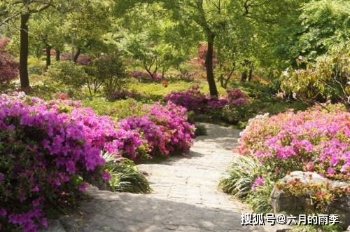 百啭千声随意移,山花红紫树高低。原文_翻译及赏析