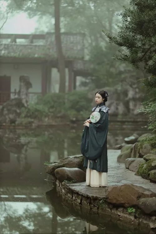 谁见幽人独往来,飘渺孤鸿影