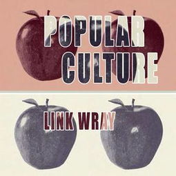 culture可数吗，culture shock
