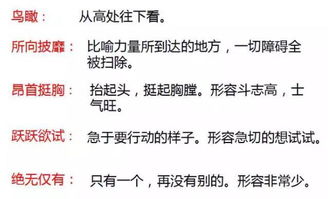 矫捷近义词是什么词，矫捷近义词是健康吗