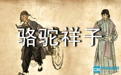 骆驼祥子读书笔记300字初一，骆驼祥子读书笔记300字初中