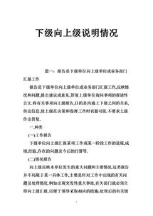 如何写情况说明材料范文