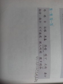 其它造句简单，其它造句子