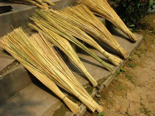 竹篾的意思，竹篾制品