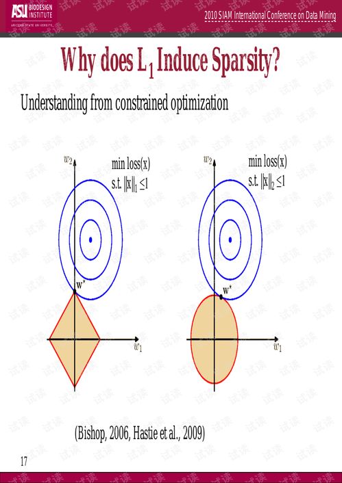 representation相近读音的单词
