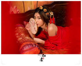本是青灯不归客,却因浊酒恋红尘。全诗是什么意思?