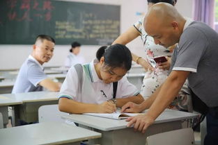 我的高中生活作文300字范文