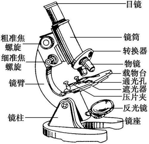 显微镜的结构名称图，显微镜的结构名称及功能