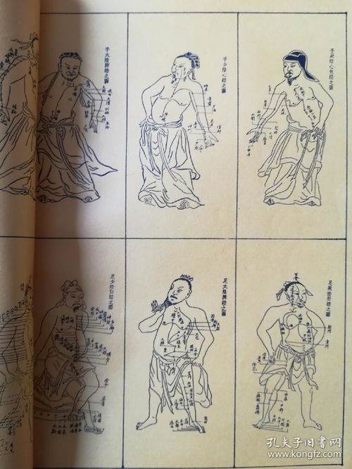 上乘是什么意思，上乘读音
