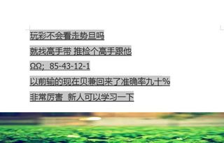 好事成双的意思动物，好事成双的意思指什么生肖