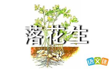 落花生课文讲解，落花生课文朗读