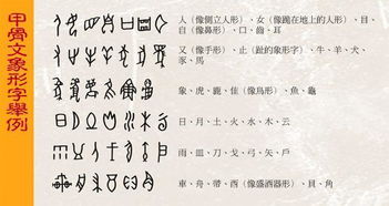 汉字六书指的是什么并举例说明，六书的含义并举例说明