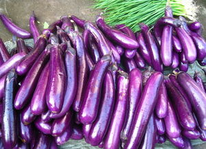 茄子英文为什么叫eggplant，鞋子的英文