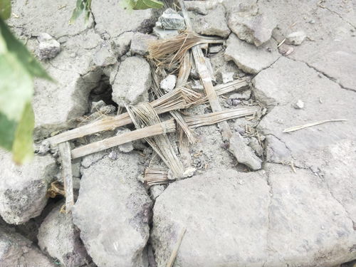 竹篾的意思是什么