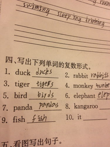 beef的复数形式