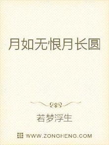月如无恨月长圆的意思谁写，月如无恨月长圆的全诗翻译