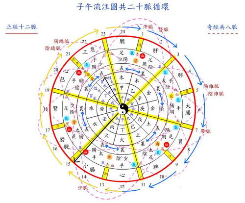 子午的读音子午的读音是什么