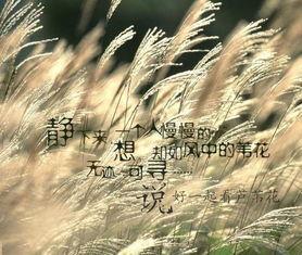 无际可寻打一动物，无际可寻指什么动物
