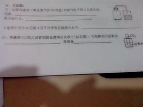 化学题初三，化学题目及答案及解析