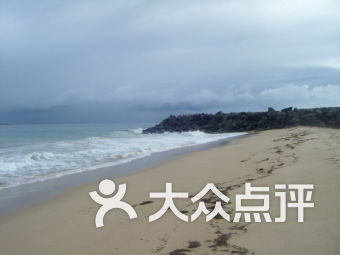 beachhead是什么牌子，beachhead market