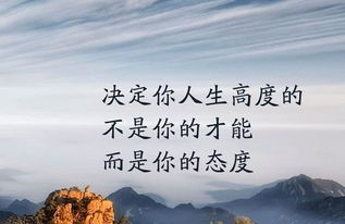 用等量齐观造句