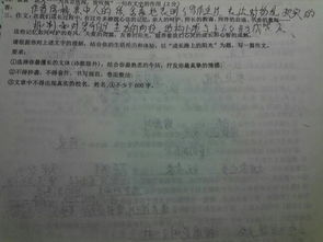 关于阳光作文600字5篇