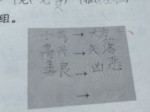 优点和缺点的反义词