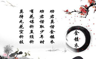 劝君莫惜金缕衣,劝君须取少年时。有花堪折直