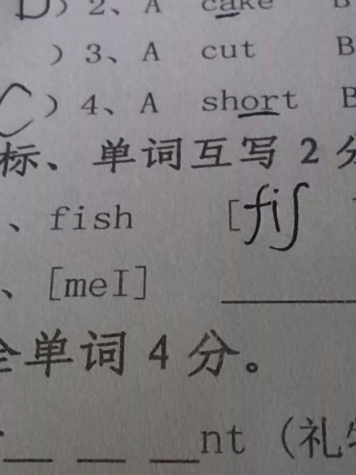 water的音标和读法，sister的音标