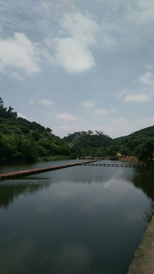 明后天大金湖天气