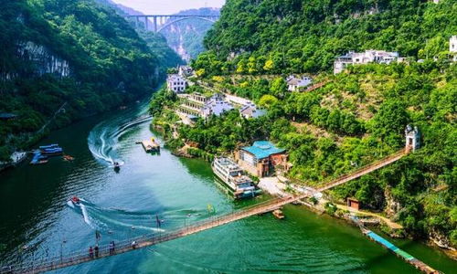《三峡》沿溯阻绝的溯是什么意思