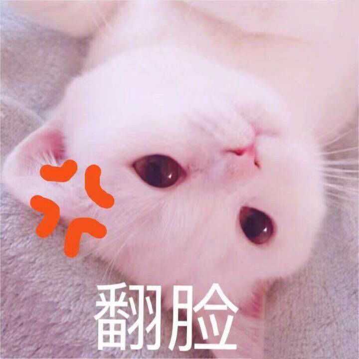 翻脸的意思就是当众不给人留面子是吗?