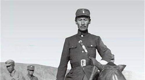 马占山简介电视剧，马占山传奇简介生平
