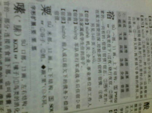 徐字组词，宿字组词语