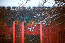 澡雪的意思，澡雪虚静