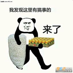 我的发现400字优秀作文，我的发现600字优秀作文