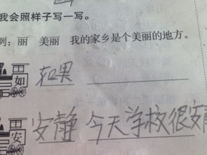 用“如果”造句。