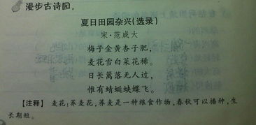 落字什么意思落字是什么意思啊