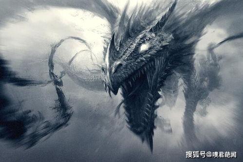 蛇进化为龙的七个阶段时间，蛇进化为龙的七个阶段视频