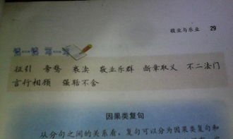 谚语的组词有什么