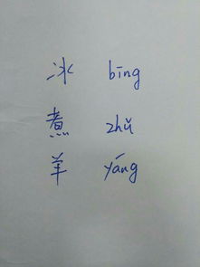 煮的拼音组词，蠢的拼音