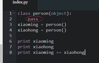 pass是什么意思