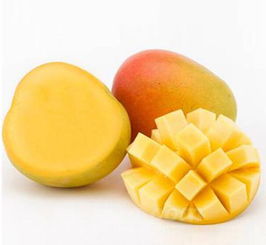 芒果的英语单词怎么读，芒果的英语怎么说mango